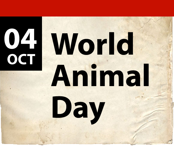 4/10 world animal day